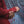 Valiant Button Up - Maroon